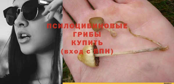 бошки Алексин