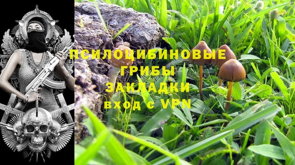 метадон Армянск
